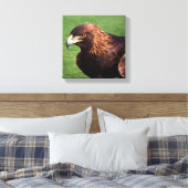 Golden Eagle Canvas Afdruk (Insitu (Slaapkamer))