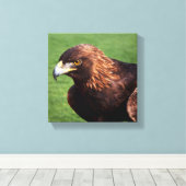Golden Eagle Canvas Afdruk (Insitu (Houten vloer))