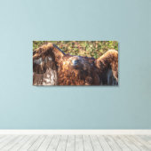 Golden eagle canvas afdruk (Insitu (Houten vloer))
