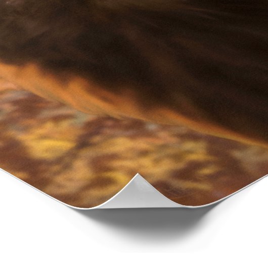 Golden Eagle "GOLDEN EYES" Poster (Hoek)