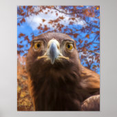 Golden Eagle "GOLDEN EYES" Poster (Voorkant)