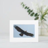 Golden Eagle in vlucht Briefkaart (Staand voorkant)