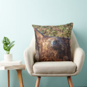 Golden eagle kussen (Stoel)