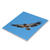 Golden Eagle Large 6 x 6 inch Tegeltje (Zijkant)