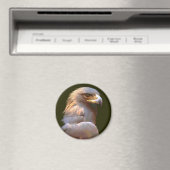 Golden Eagle Magneet (Insitu (Vaatwasser))