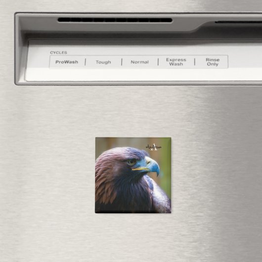 Golden Eagle Magnet (Insitu (Vaatwasser))