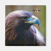 Golden Eagle Magnet (Voorkant)