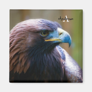 Golden Eagle Magnet