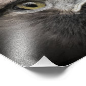 Golden Eagle:Photo Print Foto Afdruk (Hoek)