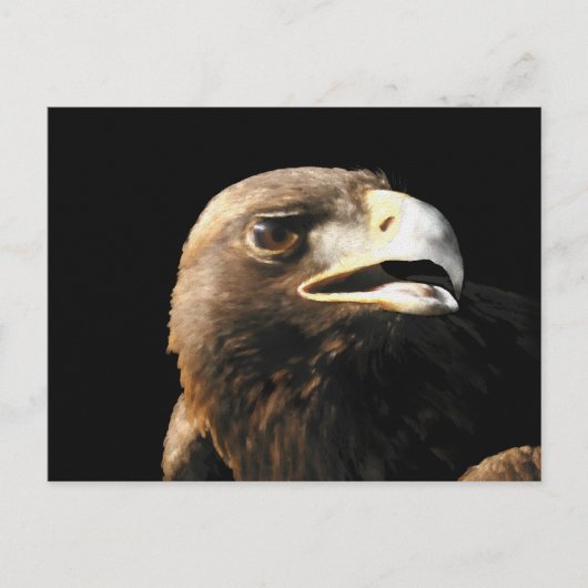Golden Eagle Portrait Briefkaart (Voorkant)