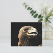 Golden Eagle Portrait Briefkaart (Staand voorkant)