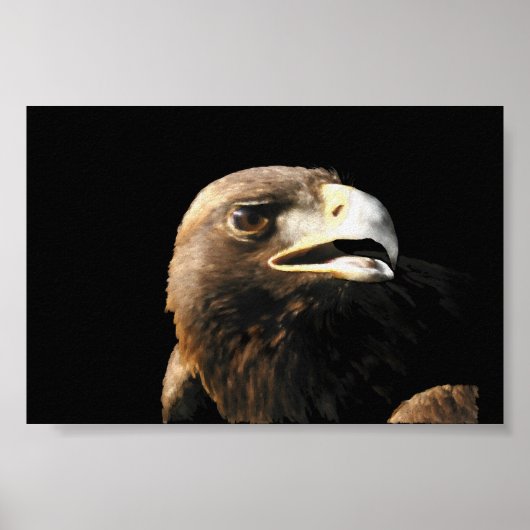 Golden Eagle Portrait Poster (Voorkant)