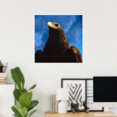 Golden Eagle Poster (Thuiskantoor)