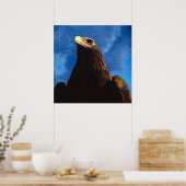 Golden Eagle Poster (Keuken)