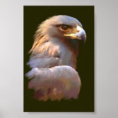 Golden Eagle Poster (Voorkant)