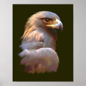 Golden Eagle Poster (Voorkant)