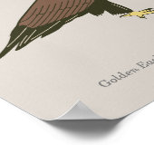 Golden Eagle Poster (Hoek)