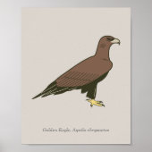 Golden Eagle Poster (Voorkant)