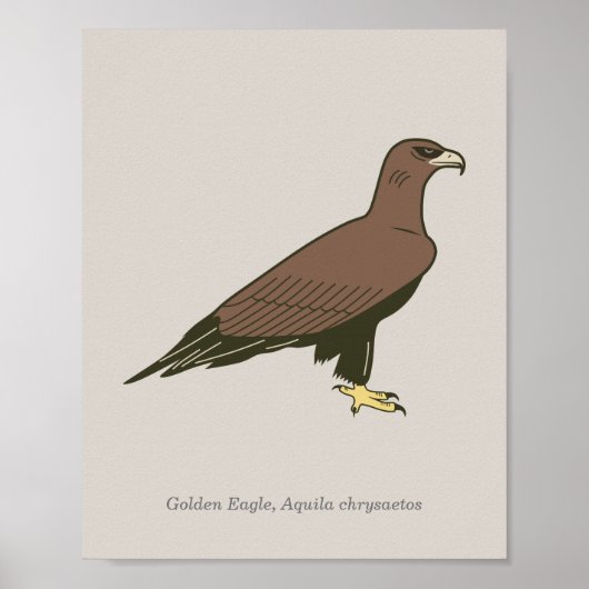 Golden Eagle Poster (Voorkant)