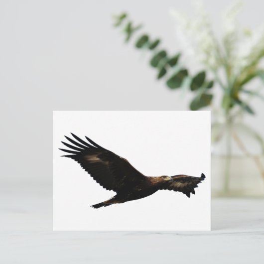 Golden Eagle Soaring Briefkaart (Staand voorkant)