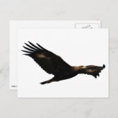 Golden Eagle Soaring Briefkaart (Voorkant / Achterkant)