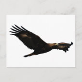 Golden Eagle Soaring Briefkaart (Voorkant)