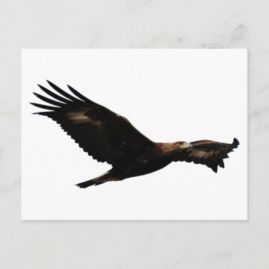 Golden Eagle Soaring Briefkaart (Voorkant)