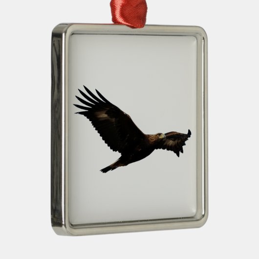 Golden Eagle Soaring Metalen Ornament (Rechts)