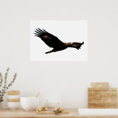 Golden Eagle Soaring Poster (Keuken)