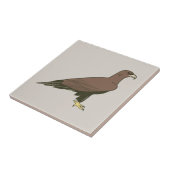 Golden Eagle Tegeltje (Zijkant)