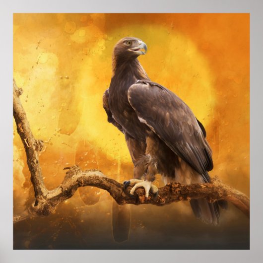 Golden Eagle THE GOLDEN ONE Poster (Voorkant)