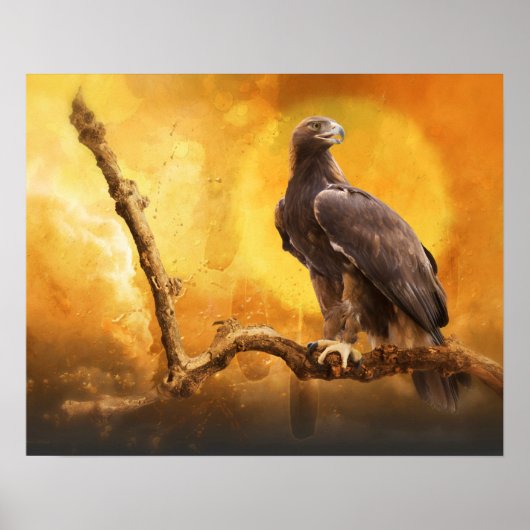 Golden Eagle THE GOLDEN ONE Poster (Voorkant)