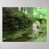 Golden Eagle Trail Poster (Voorkant)