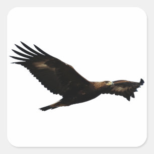 Golden Eagle Vierkante Sticker