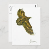 Golden Eagle Wildlife Briefkaart (Voorkant / Achterkant)