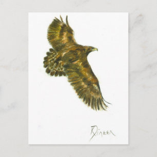 Golden Eagle Wildlife Briefkaart