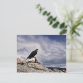 Golden Eagle Wildlife Series # 14 Briefkaart (Staand voorkant)