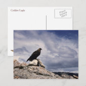 Golden Eagle Wildlife Series # 14 Briefkaart (Voorkant / Achterkant)