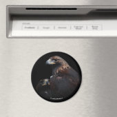 Golden Eagles: Schoonheden door de Bars Magneet (Insitu (Vaatwasser))