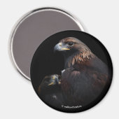 Golden Eagles: Schoonheden door de Bars Magneet (Voorkant / Achterkant)