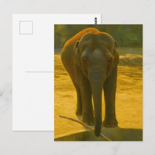 Golden Elephant Wisdom - Majestic Wildlife Briefkaart (Voorkant / Achterkant)