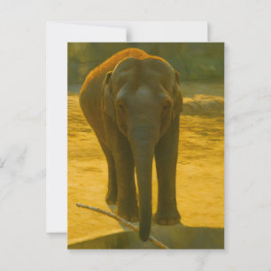 Golden Elephant Wisdom - Majestic Wildlife Briefkaart