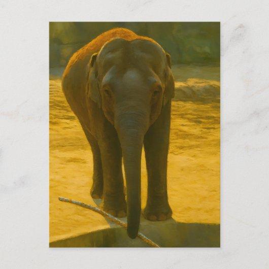 Golden Elephant Wisdom - Majestic Wildlife Briefkaart (Voorkant)