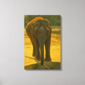 Golden Elephant Wisdom - Majestic Wildlife Canvas Afdruk (Voorkant)