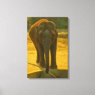 Golden Elephant Wisdom - Majestic Wildlife Canvas Afdruk