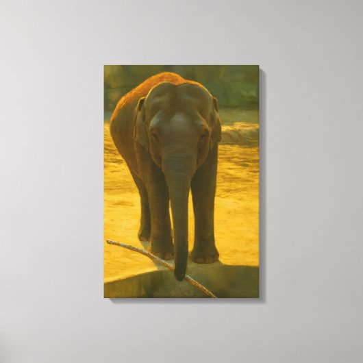 Golden Elephant Wisdom - Majestic Wildlife Canvas Afdruk (Voorkant)