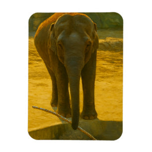 Golden Elephant Wisdom - Majestic Wildlife Magneet