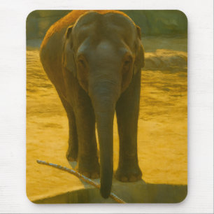 Golden Elephant Wisdom - Majestic Wildlife Muismat