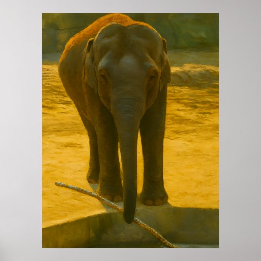 Golden Elephant Wisdom - Majestic Wildlife Poster (Voorkant)