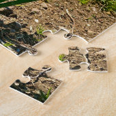 Golden Embrace | Daffodil Bloom in Springtime Legpuzzel (Zijkant)